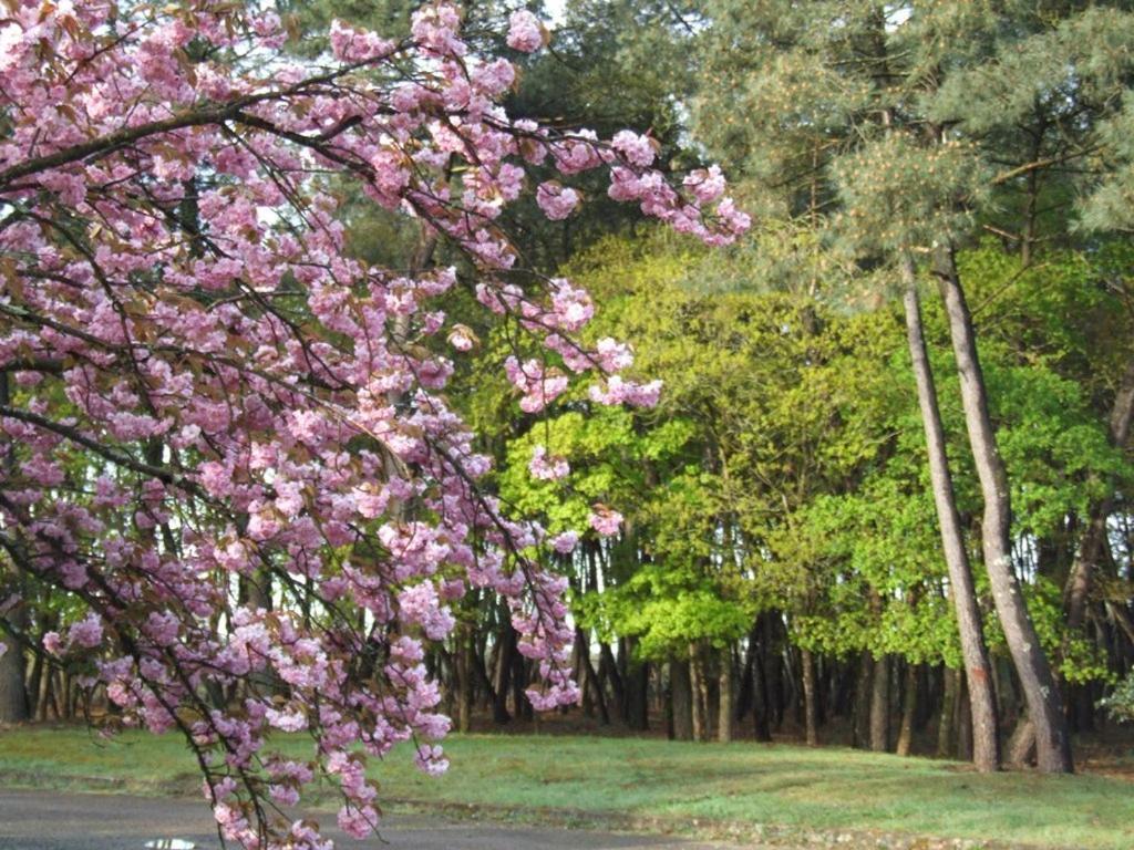 Le Clos Du Chene Langon  Exteriör bild