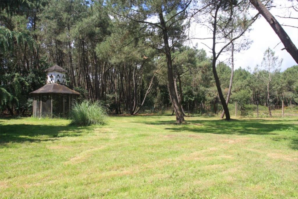 Le Clos Du Chene Langon  Exteriör bild